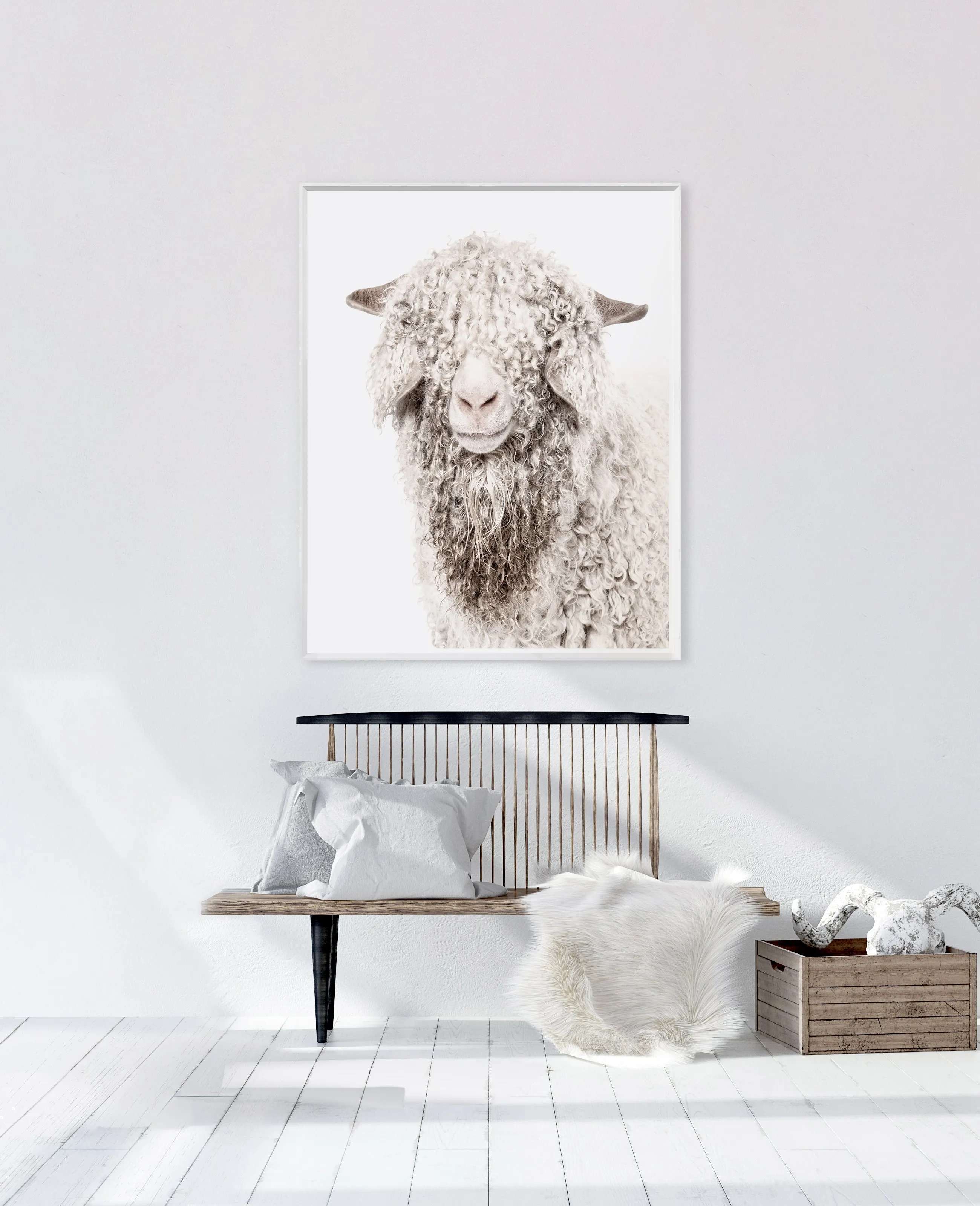 Angora Goat Wall Art