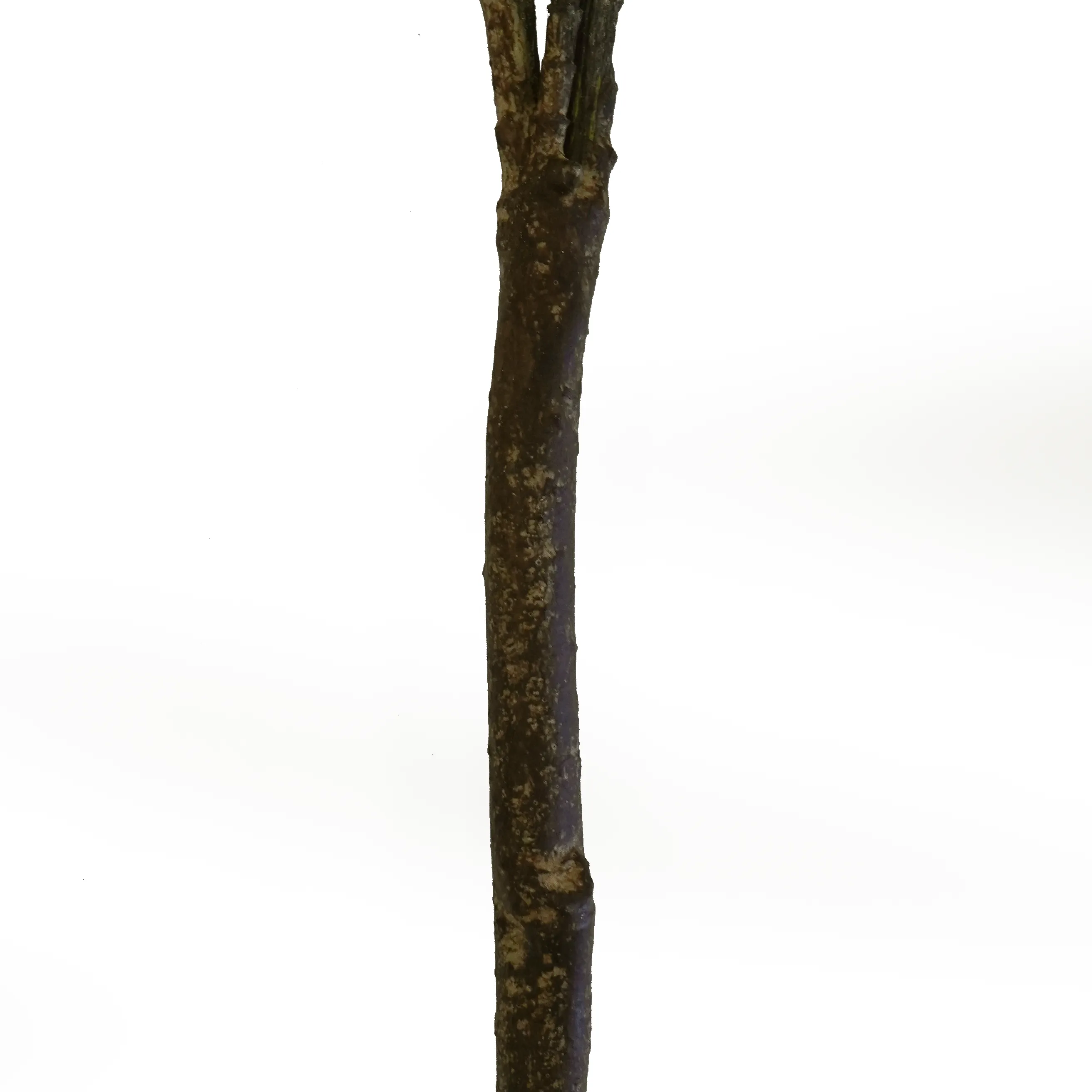 Artificial 44" Foliage Branch
