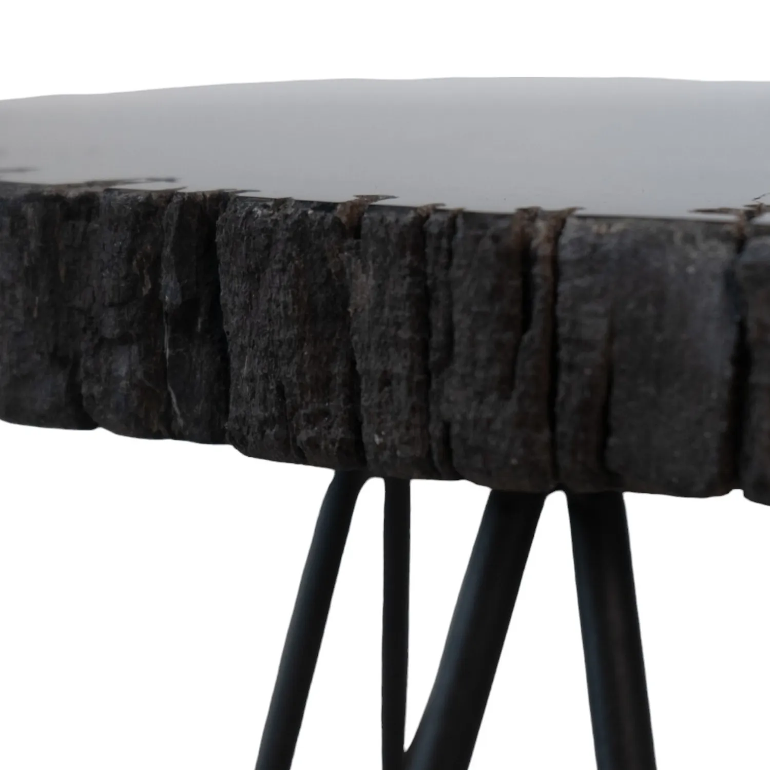 Black Petrified Wood Accent Table