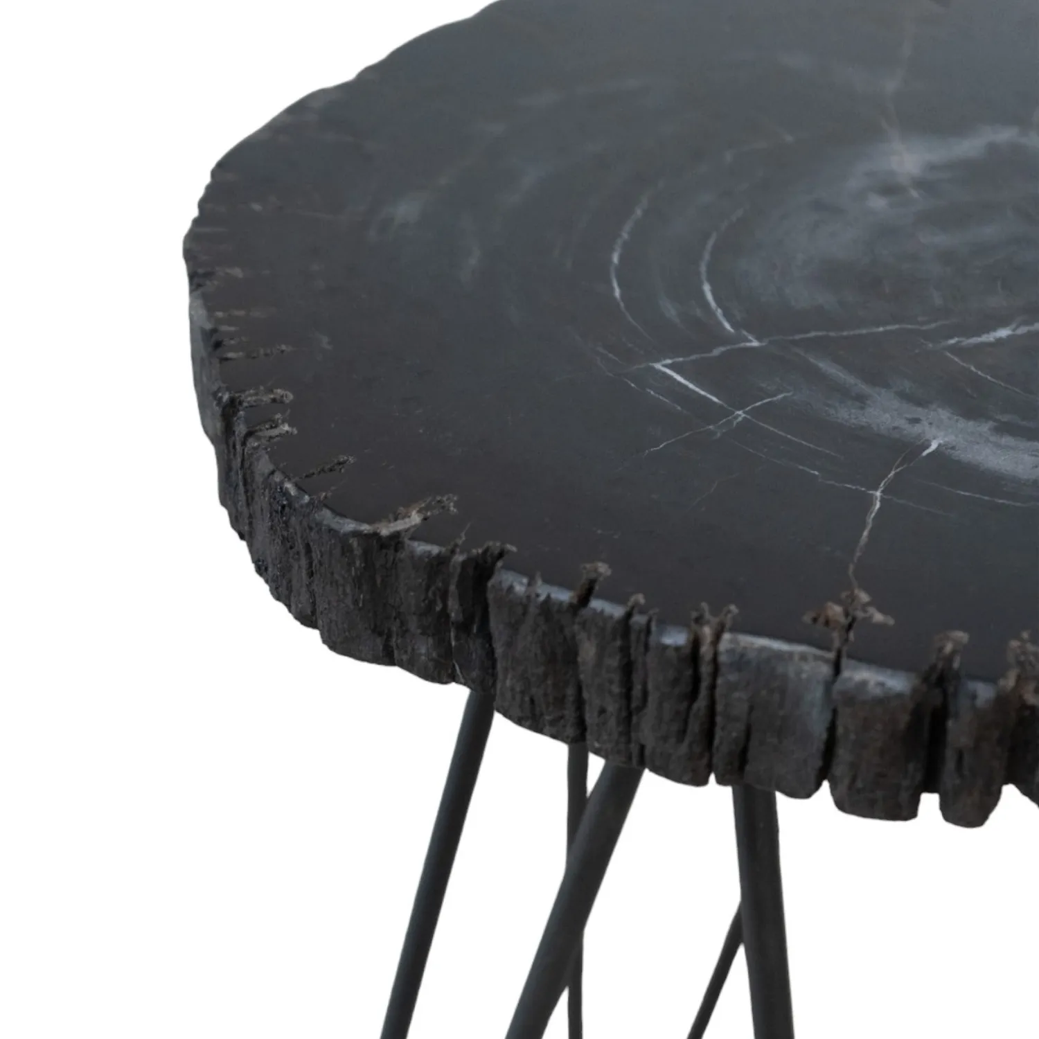 Black Petrified Wood Accent Table