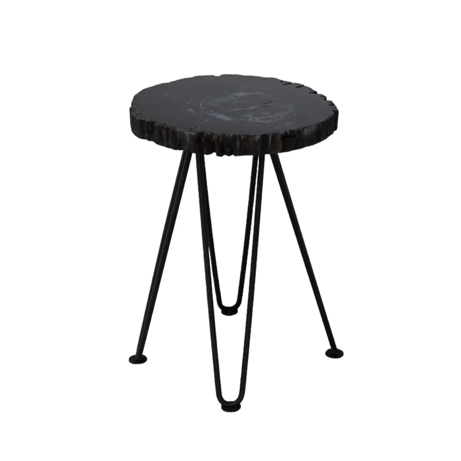Black Petrified Wood Accent Table