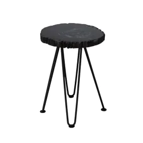 Black Petrified Wood Accent Table