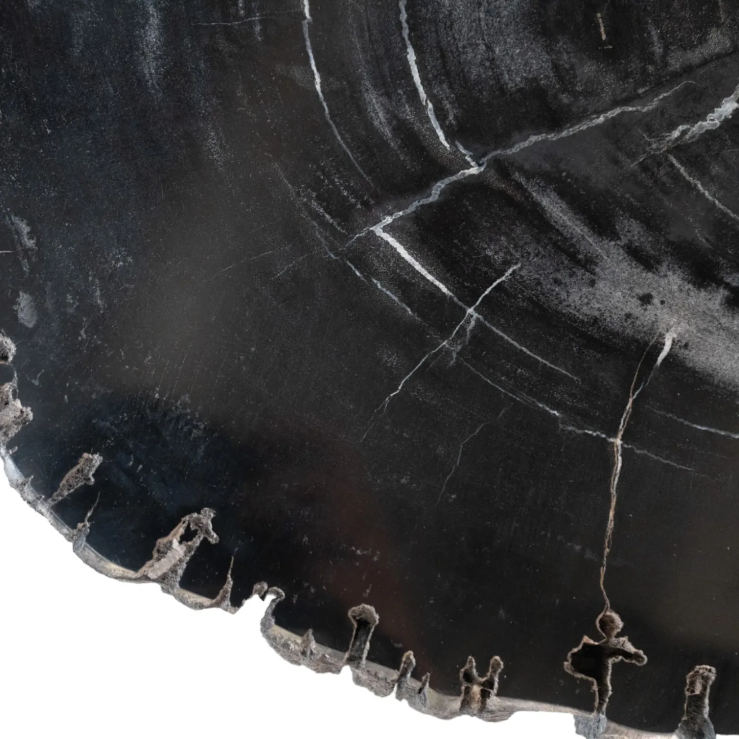 Black Petrified Wood Accent Table