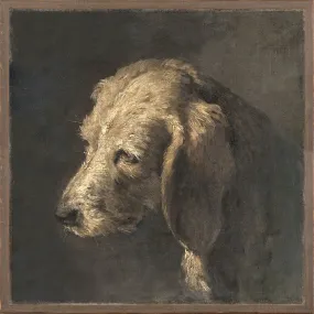 Boreal Canine Wall Art